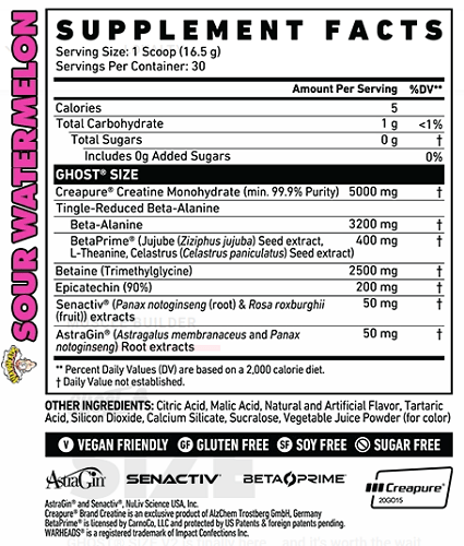 GHOST SIZE V2 30 SERVE - Bay Supplements