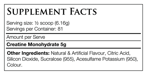 PACK NUTRITION ELEMENTALS CREATINE 500G - Bay Supplements - Creatine - deals - general health
