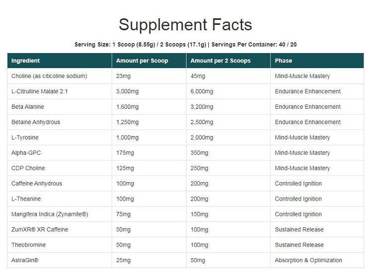 PACK NUTRITION LOADED PRE - WORKOUT 40/20 SERVES - Bay Supplements