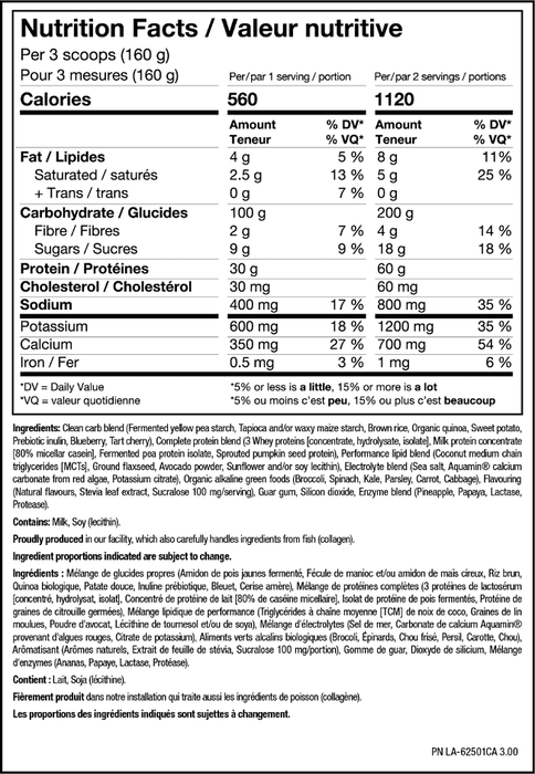 PVL GOLD SERIES CLEAN MASS XL 5LB - Bay Supplements - Mass Gainer - Muscle Growth - Protein powder