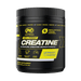 PVL GOLD SERIES PUREST CREATINE 210G - Bay Supplements - Creatine - general health - Muscle Growth